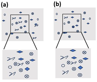 Figure Preparation Mismatch of cellular sections